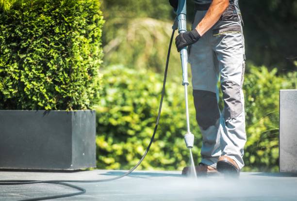 Best Animal Enclosure Cleaning  in De Pue, IL