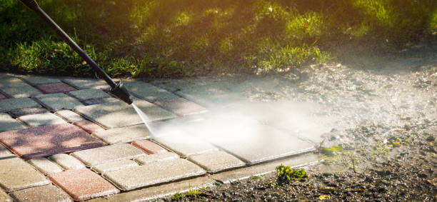 Best Sidewalk and Walkway Cleaning  in De Pue, IL