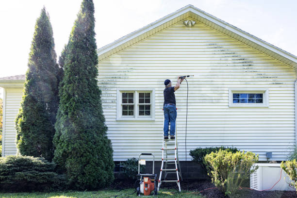 Best Driveway Pressure Washing  in De Pue, IL